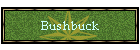 Bushbuck