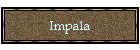 Impala