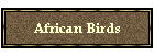 African Birds