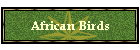 African Birds