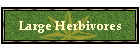 Large Herbivores