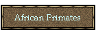 African Primates