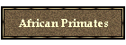 African Primates