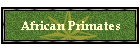 African Primates