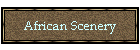 African Scenery