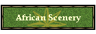 African Scenery