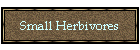 Small Herbivores