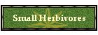 Small Herbivores