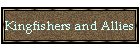 Kingfishers and Allies