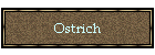 Ostrich