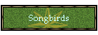Songbirds