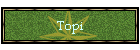 Topi