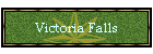Victoria Falls