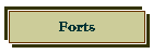 Forts