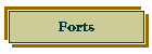Forts
