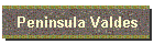 Peninsula Valdes