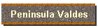 Peninsula Valdes