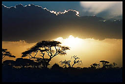 Sunset in Amboseli